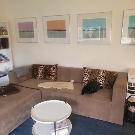 Hyggelig Raekkehus Ikast