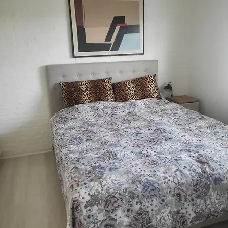 Hyggelig Raekkehus Ikast