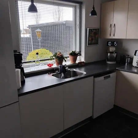 Hyggelig Raekkehus Ikast
